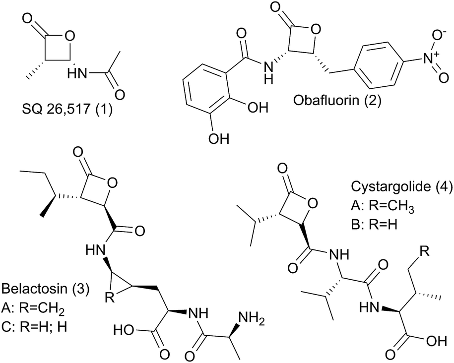 Biosynthesis And Chemical Diversity Of B Lactone Natural Products Natural Product Reports Rsc Publishing