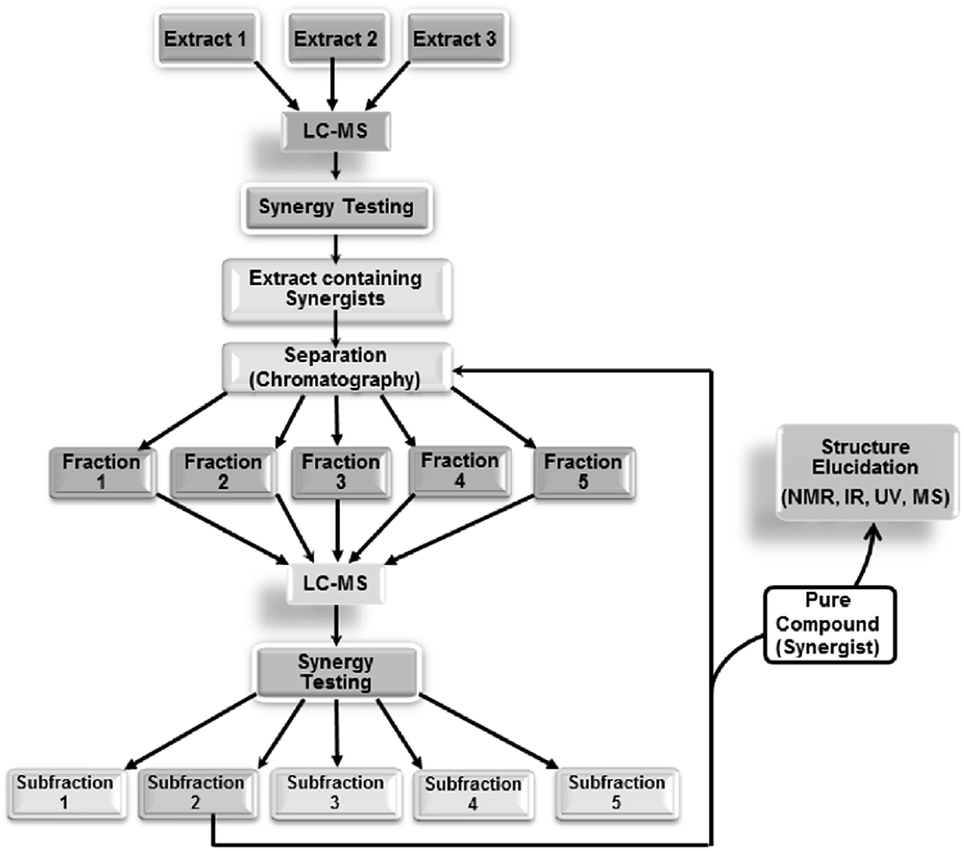 Synergy and antagonism in natural product extracts when 1 + 1 does not