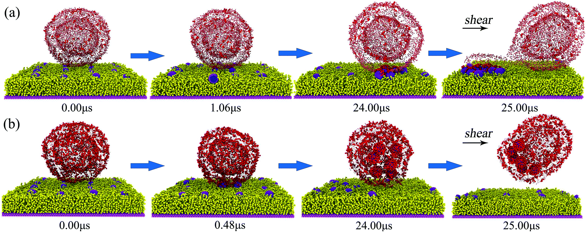 Designing A Nanoparticle Containing Polymeric Substrate For Detecting Cancer Cells By Computer Simulations Nanoscale Rsc Publishing