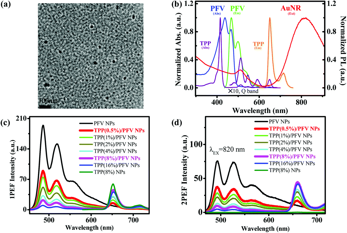 Gold Nanorod Enhanced Conjugated Polymer Photosensitizer Composite Nanoparticles For Simultaneous Two Photon Excitation Fluorescence Imaging And Photodynamic Therapy Nanoscale Rsc Publishing