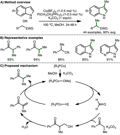 Recent Advances In Homogeneous Borrowing Hydrogen Catalysis Using Earth ...