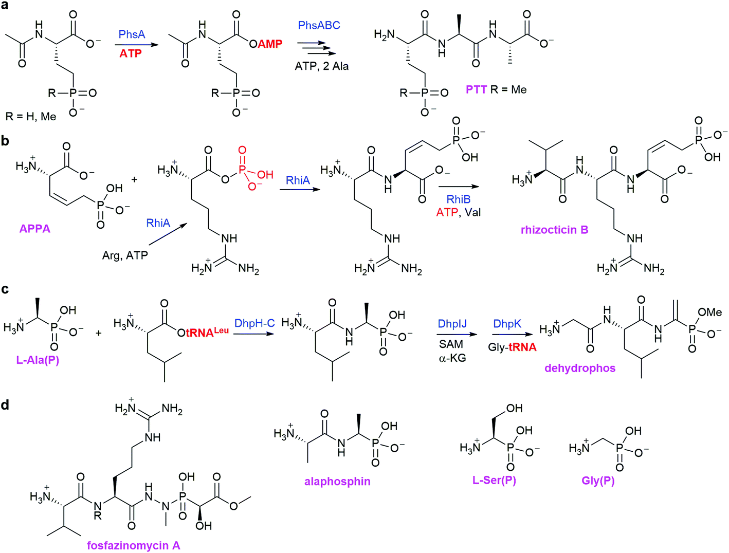 Http Pubs Acs Org Doi Pdf 10 1021 Acs Chemrev 6b00523