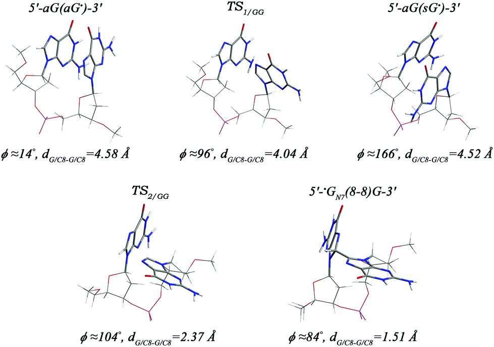 Theoretical Studies On The Purine Radical Induced Purine Purine Type Intrastrand Cross Links Organic Biomolecular Chemistry Rsc Publishing