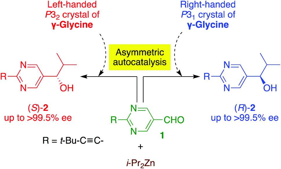 Achiral amino acid glycine acts as an origin of homochirality in asymmetric autocatalysis ...