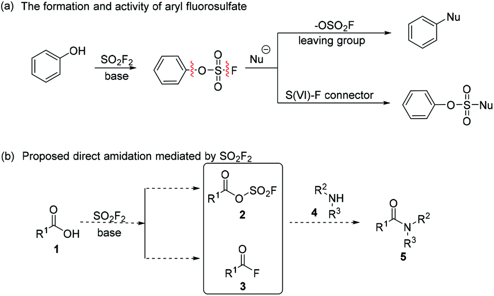 Amine carboxylic acid condensation mechanism