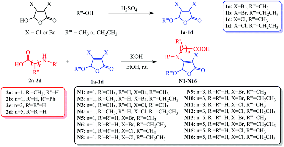 Synthesis Of Amino Acid Derivatives Of 5 Alkoxy 3 4 Dihalo 2 5h Furanones And Their Preliminary Bioactivity Investigation As Linkers Organic Biomolecular Chemistry Rsc Publishing