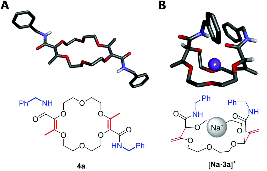 Stereoselective Deconjugation Of Macrocyclic A B Unsaturated Esters By Sequential Amidation And Olefin Transposition Application To Enantioselective Phase Transfer Catalysis Organic Biomolecular Chemistry Rsc Publishing