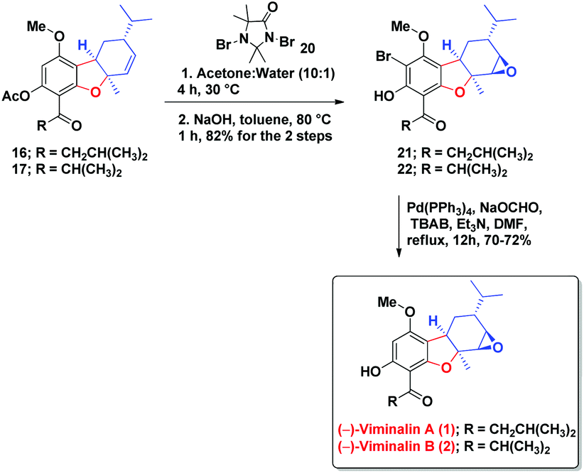 Bio Inspired Enantioselective Total Syntheses Of Viminalins A B H I And N And Structural Reassignment Of Viminalin M Organic Biomolecular Chemistry Rsc Publishing