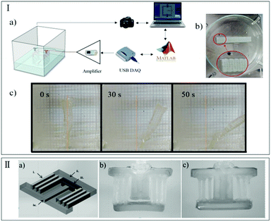 Trends in polymeric shape memory hydrogels and hydrogel actuators ...