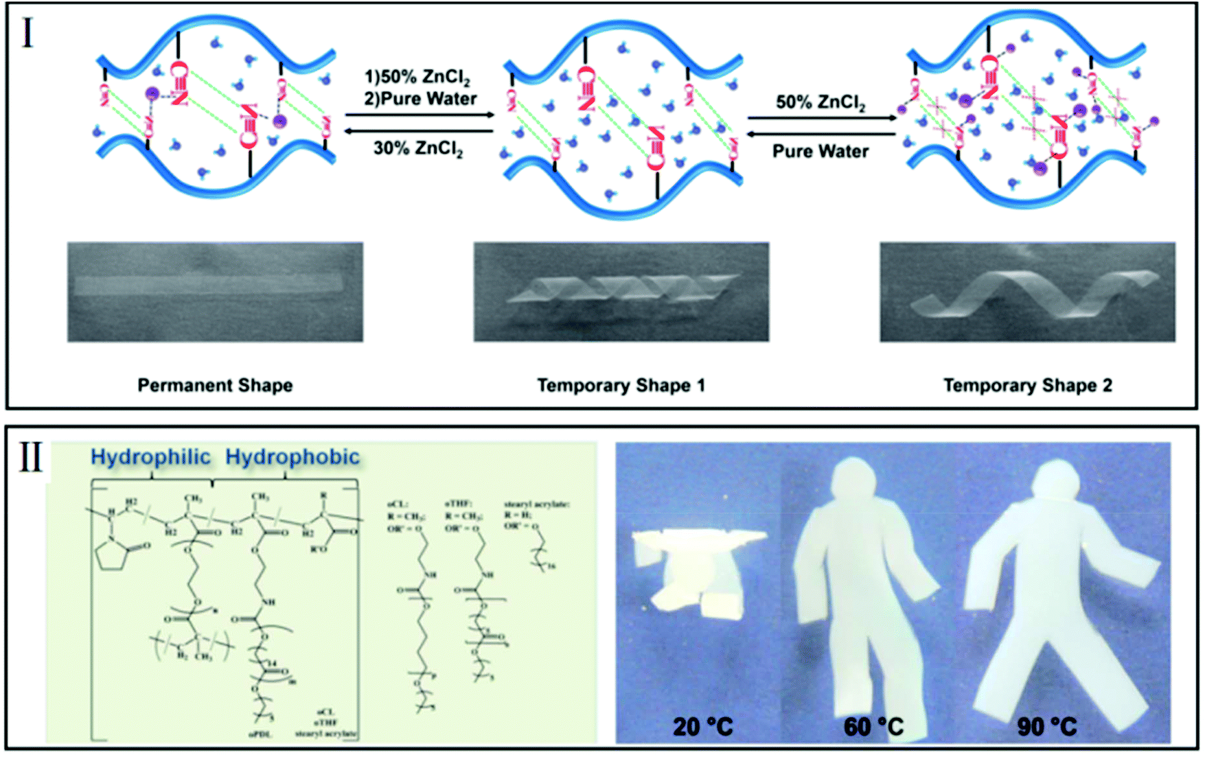 Trends in polymeric shape memory hydrogels and hydrogel actuators