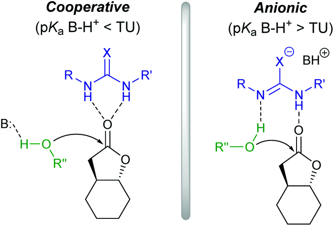 Selective Or Living Organopolymerization Of A Six Five Bicyclic Lactone To Produce Fully Recyclable Polyesters Polymer Chemistry Rsc Publishing