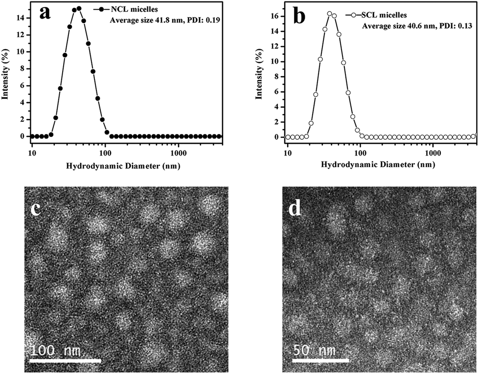 The Fabrication Of Hybrid Micelles With Enhanced Permeability For Drug Delivery Via A Diethoxymethylsilyl Based Crosslinking Strategy Polymer Chemistry Rsc Publishing