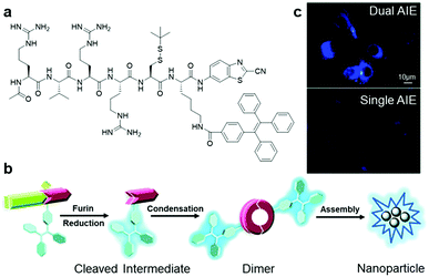 AIEgen bioconjugates for specific detection of disease-related protein ...