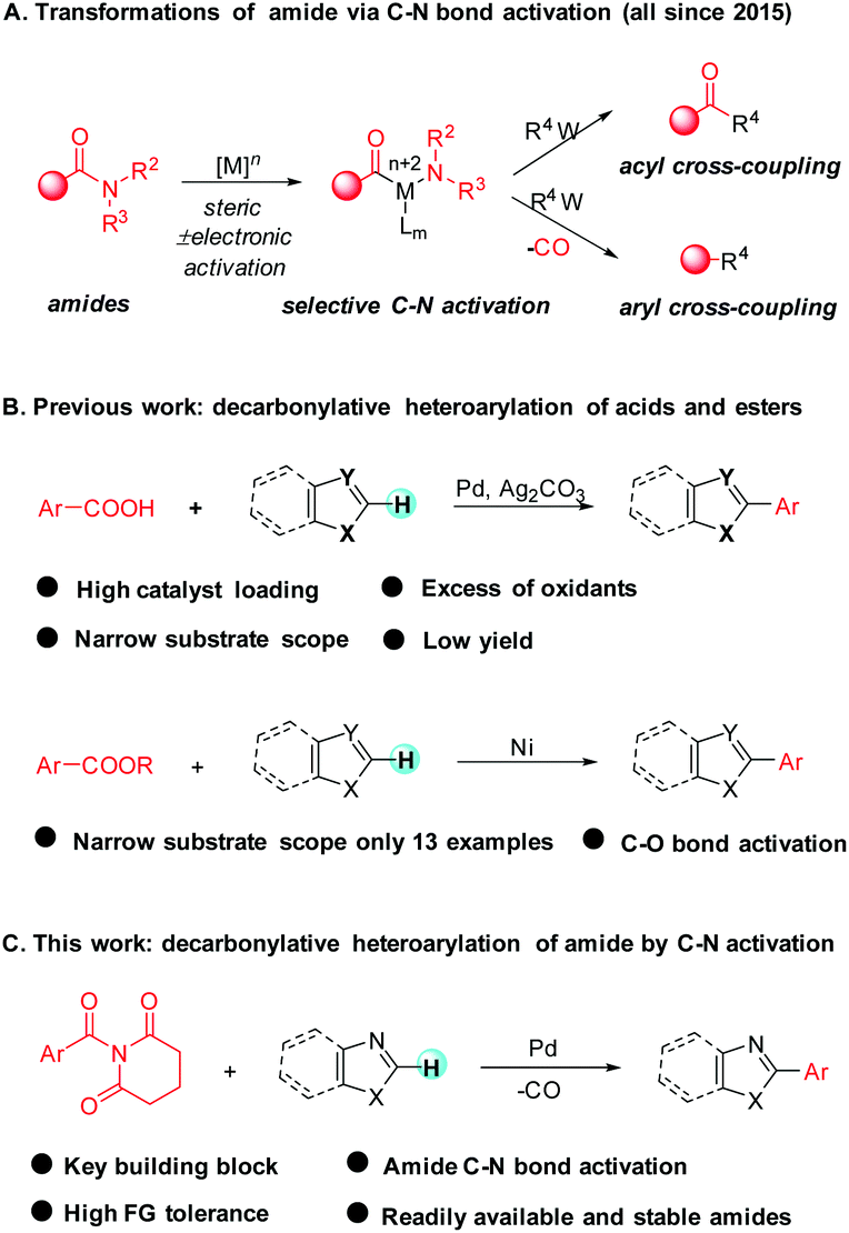 Palladium Copper Catalyzed Decarbonylative Heteroarylation Of Amides Via C N Bond Activation Organic Chemistry Frontiers Rsc Publishing
