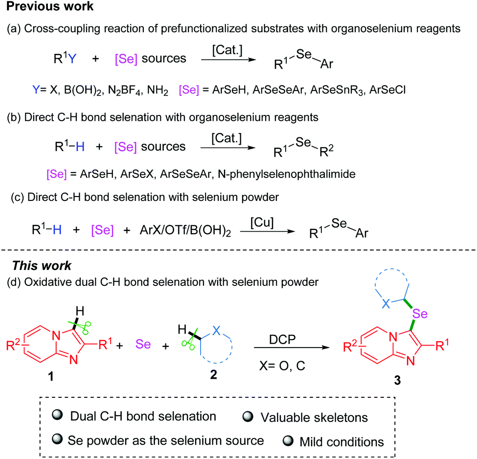 Oxidative Dual C H Selenation Of Imidazoheterocycles With Ethers Or Alkanes Using Selenium Powder Via A Radical Pathway Organic Chemistry Frontiers Rsc Publishing