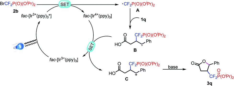 Visible Light Mediated Difluoromethylphosphonation Of Alkenes For The Synthesis Of Cf2p Containing Heterocycles Organic Chemistry Frontiers Rsc Publishing