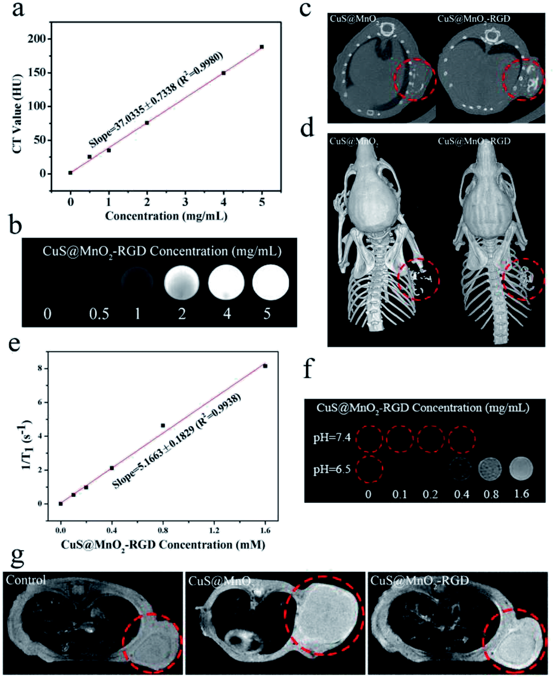 Dual Response CuS MnO 2 Nanoparticles With Activatable CT MR Enhanced