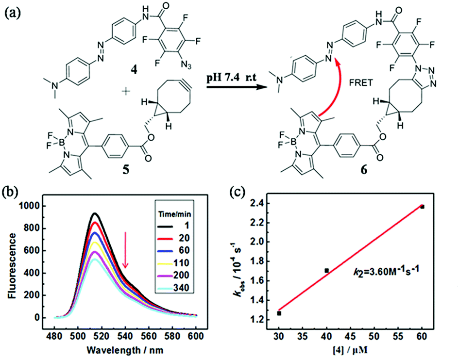 Tetra-fluorinated aromatic azide for highly efficient bioconjugation in ...