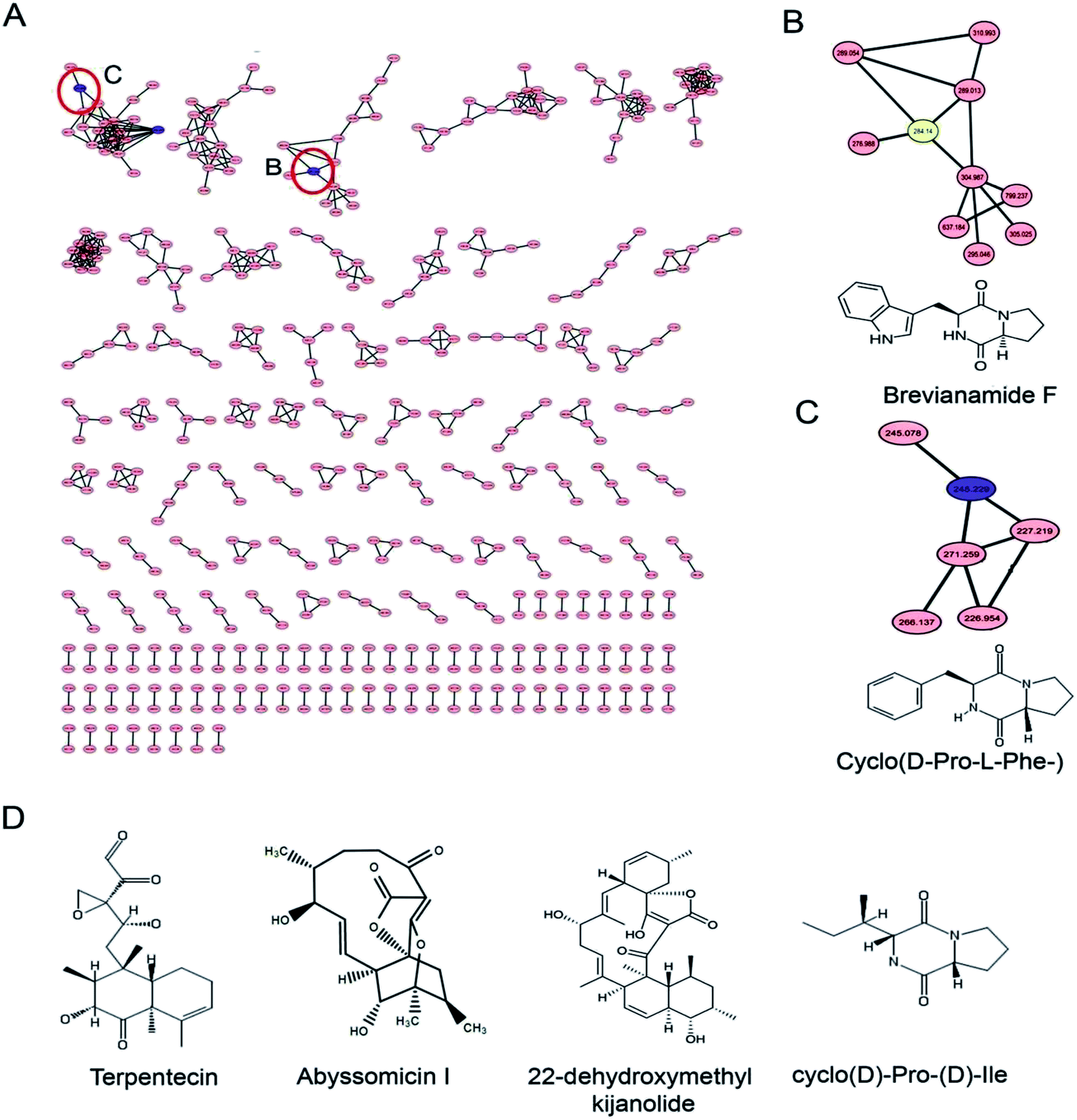 Exopolysaccharide Eps Diversity Of Structure And Bioactivities A