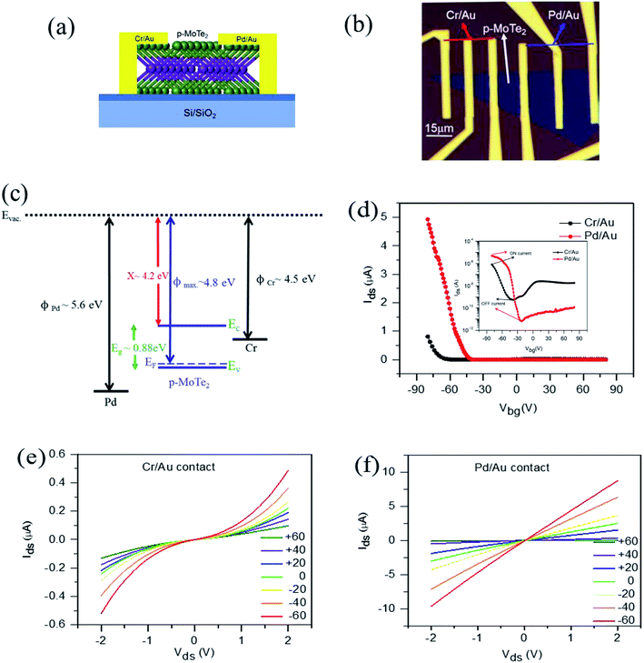 Formation of an MoTe 2 based Schottky junction employing ultralow and