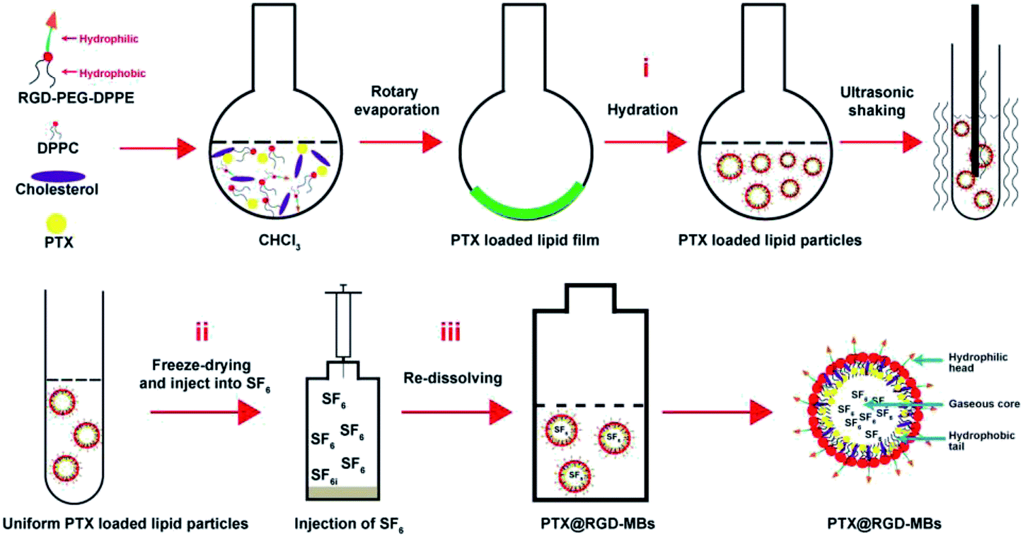 Tumour targeted contrast enhanced ultrasound imaging dual-modal ...