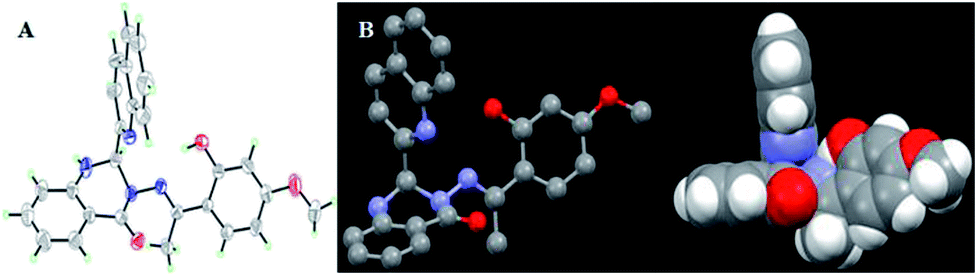 A novel nitrogen heterocycle platform-based highly selective and ...