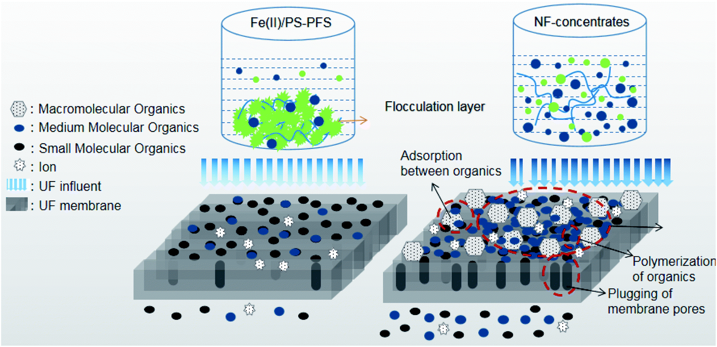 Performance and properties of coking nanofiltration concentrate ...