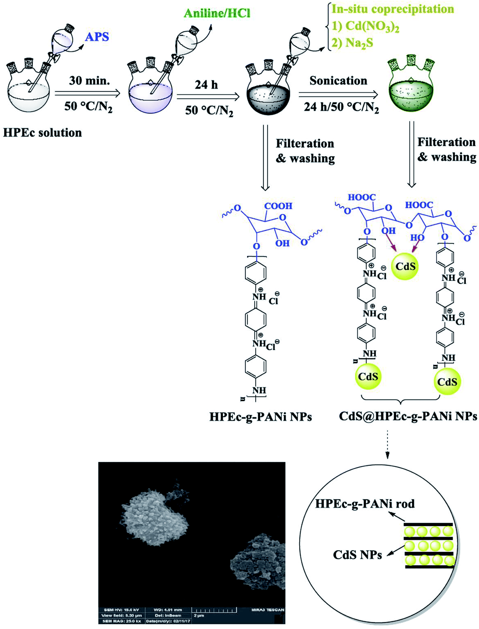 Electrochemistry Of Chemiluminescent Novel Hybrid Nanocomposites Based On Polyaniline And Hydrolyzed Pectin With Cds Nanoparticles Rsc Advances Rsc Publishing