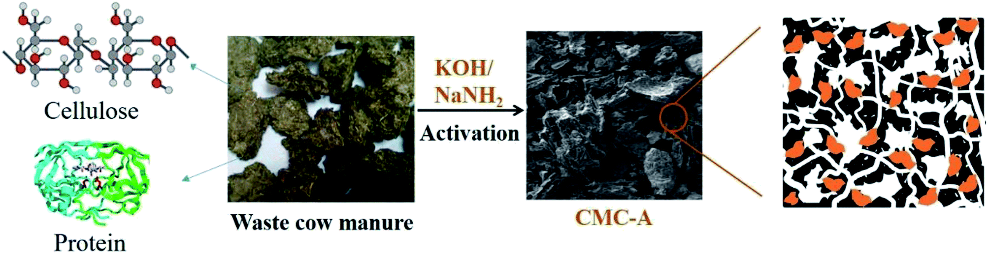 Nitrogen Decorated Porous Carbons Derived From Waste Cow Manure