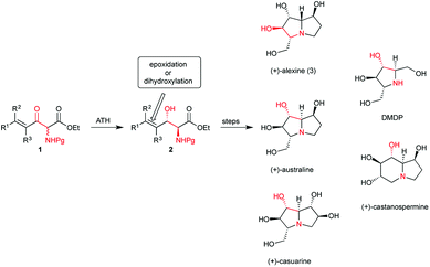 Enantioselective synthesis of anti -3-alkenyl-2-amido-3-hydroxy esters ...