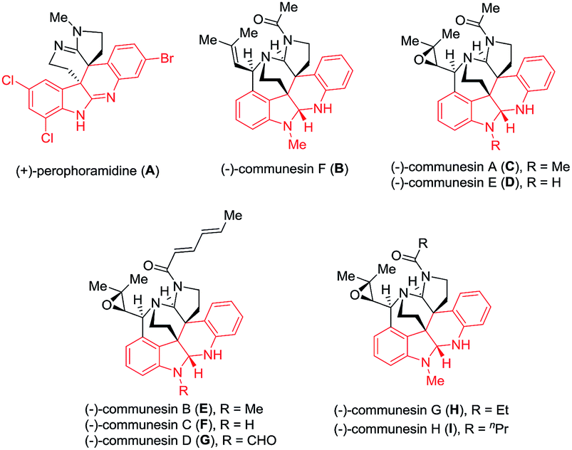 1 Alkyl 3 Alkylindolin 2 Imine Hydrochlorides As Useful Building Blocks In The Copper Catalyzed Synthesis Of Polycyclic Indoline Scaffolds Rsc Advances Rsc Publishing