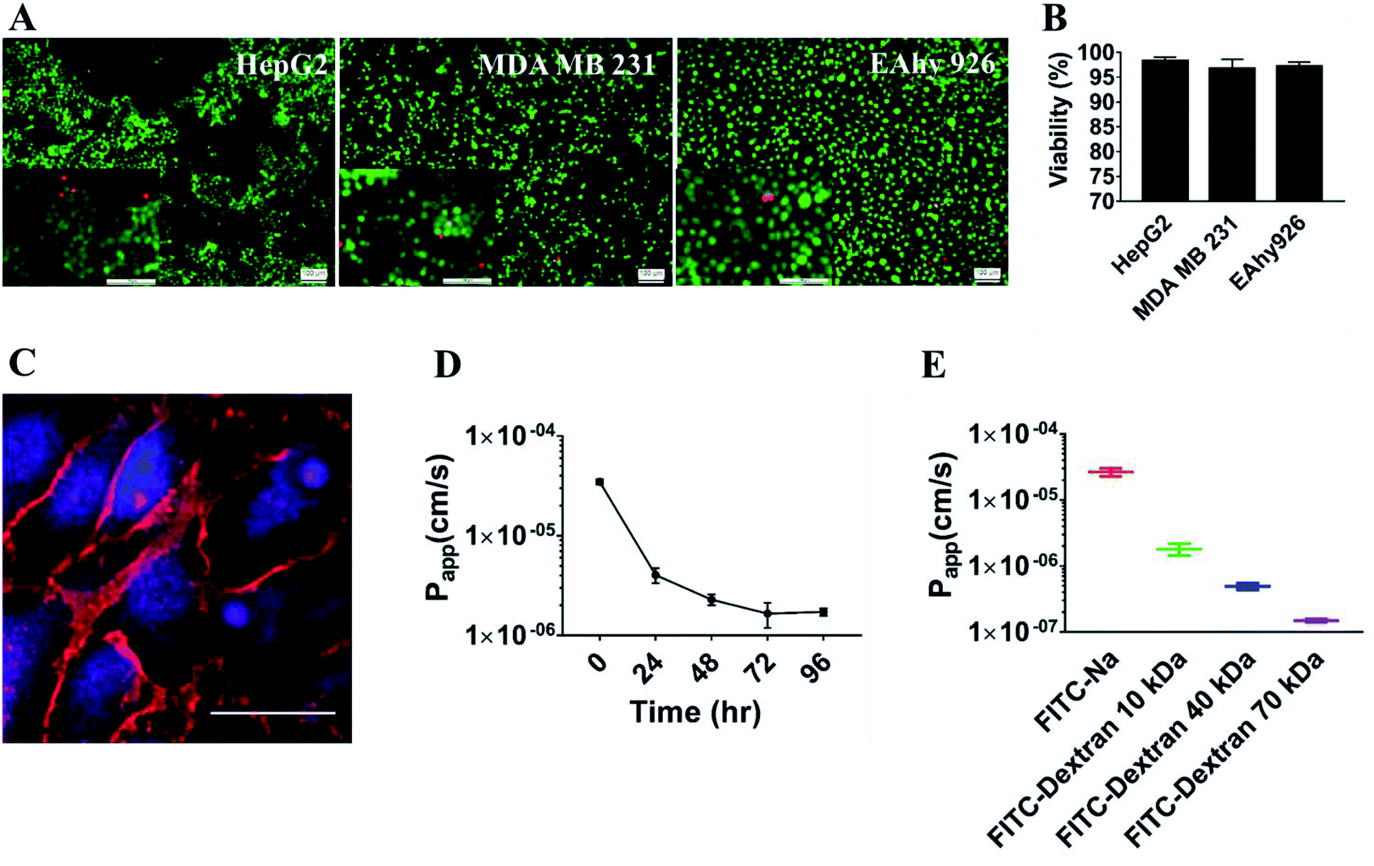 Establishment and application of a dynamic tumor-vessel microsystem for