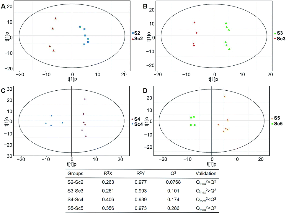 Health effects of kiwi wine on rats: an untargeted metabolic ...