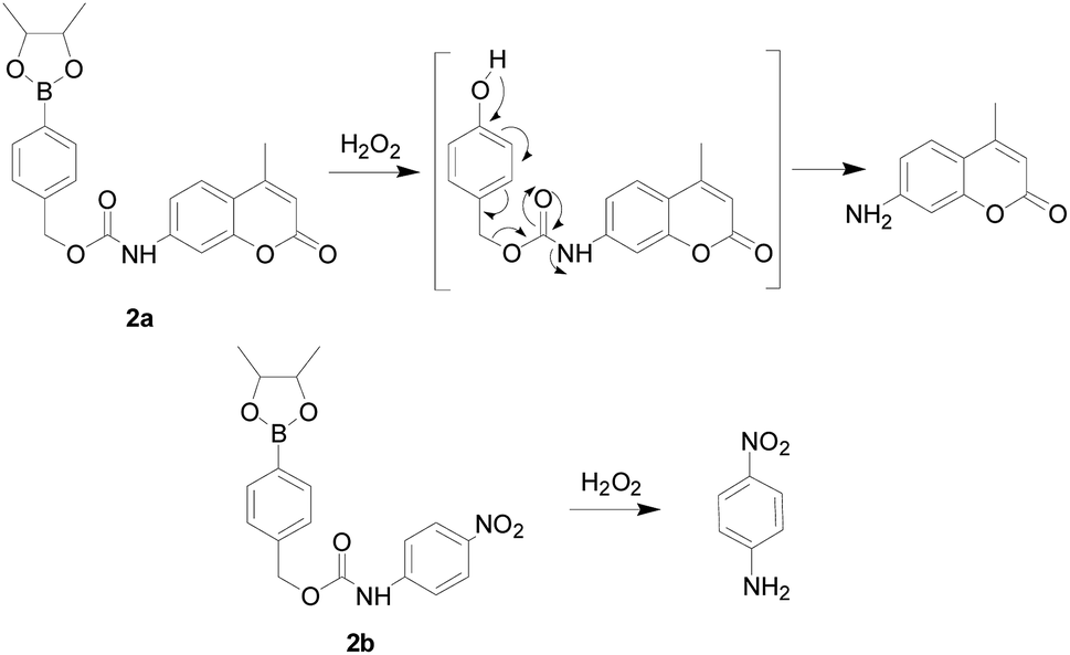 Research progress in the development of organic small molecule ...