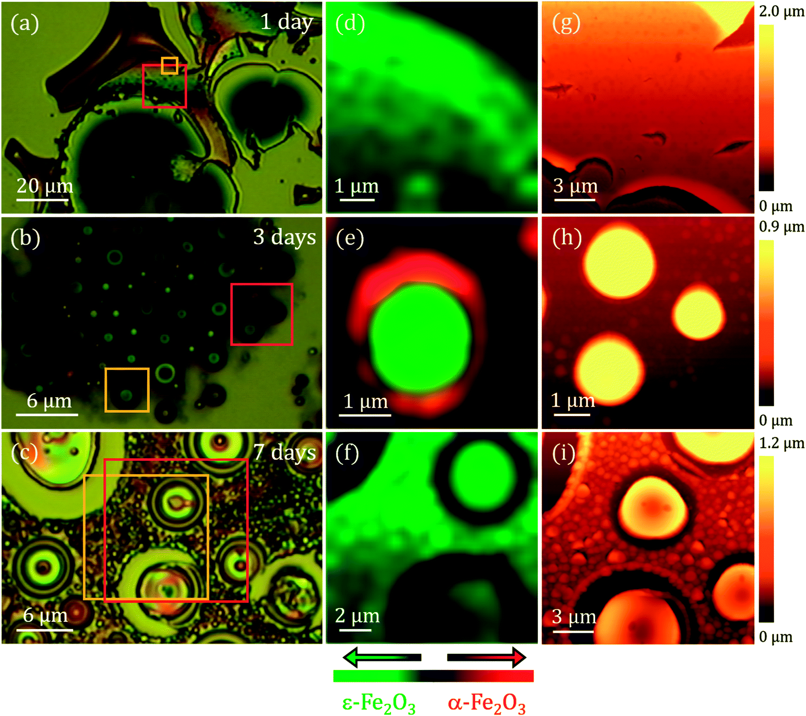 Self Assembly Of Iron Oxide Precursor Micelles Driven By Magnetic Stirring Time In Sol Gel Coatings Rsc Advances Rsc Publishing
