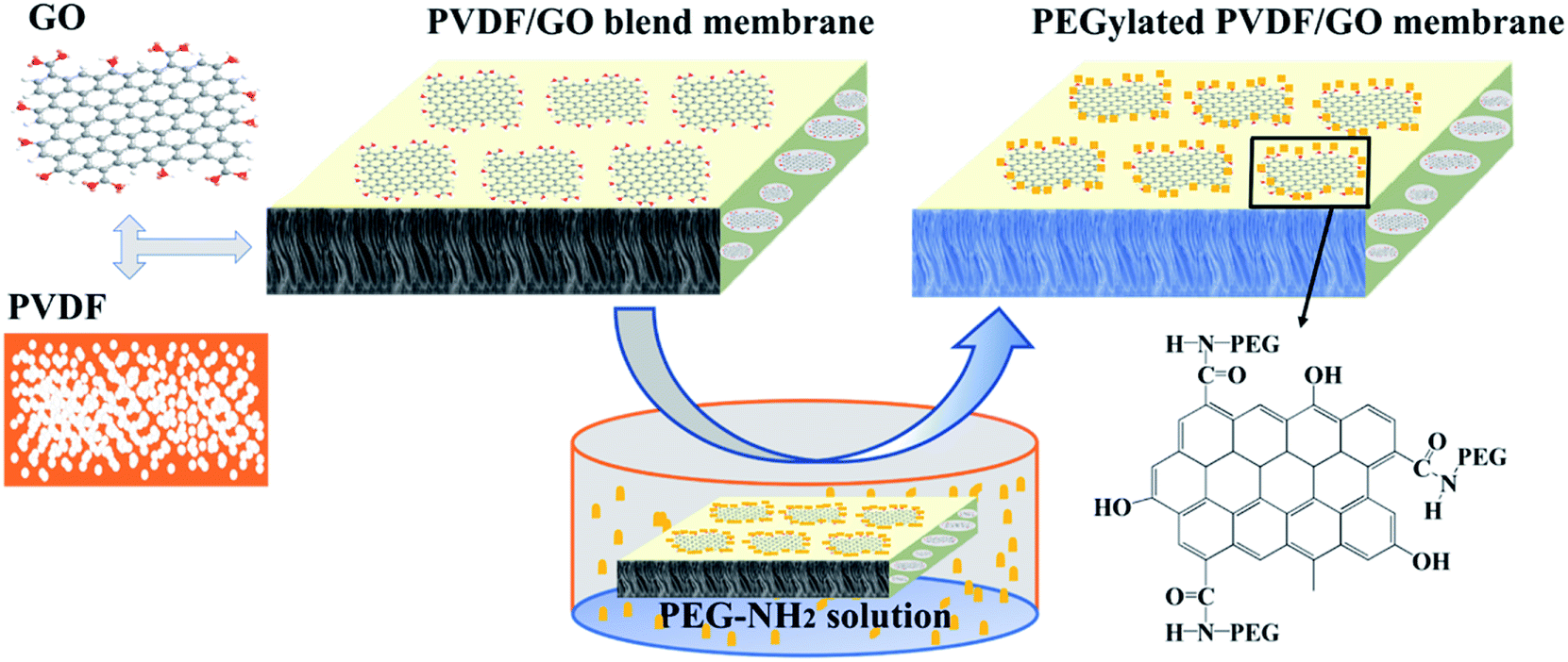 Pegylated Polyvinylidene Fluoride Membranes Via Grafting From A Graphene Oxide Additive For Improving Permeability And Antifouling Properties Rsc Advances Rsc Publishing