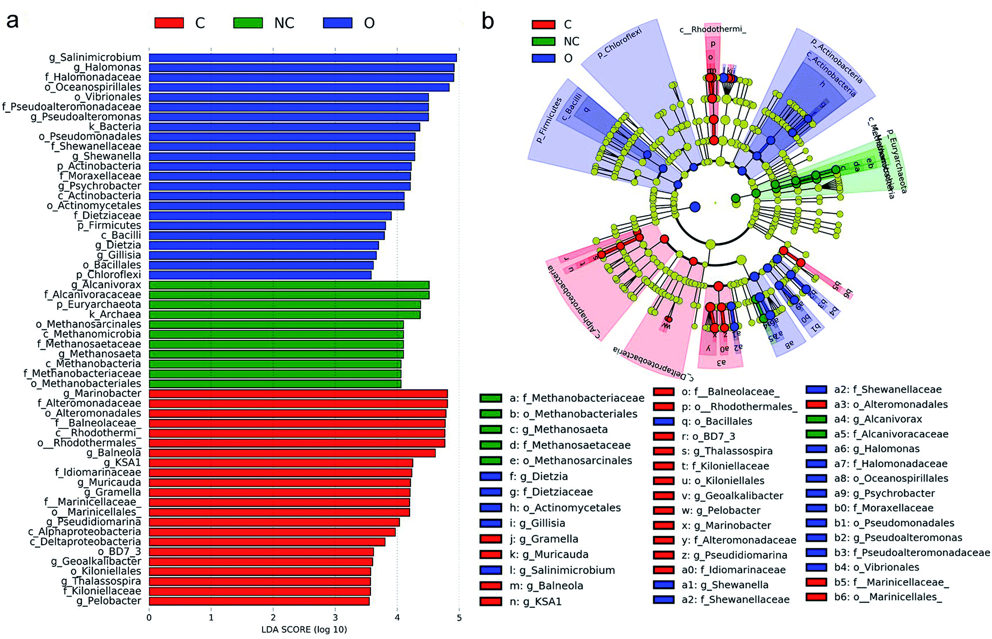 The Mutual Influence Between Corrosion And The Surrounding Soil Microbial Communities Of Buried Petroleum Pipelines Rsc Advances Rsc Publishing