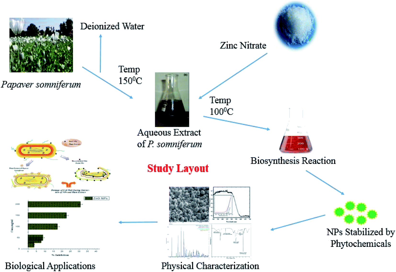 thesis of zinc oxide nanoparticles