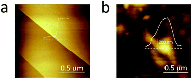 Blisters on graphite surface: a scanning microwave microscopy ...