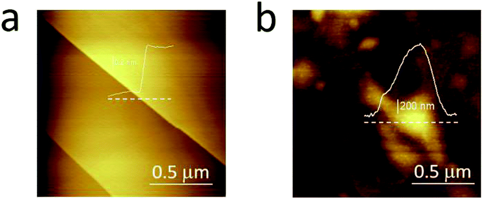 Blisters on graphite surface: a scanning microwave microscopy ...