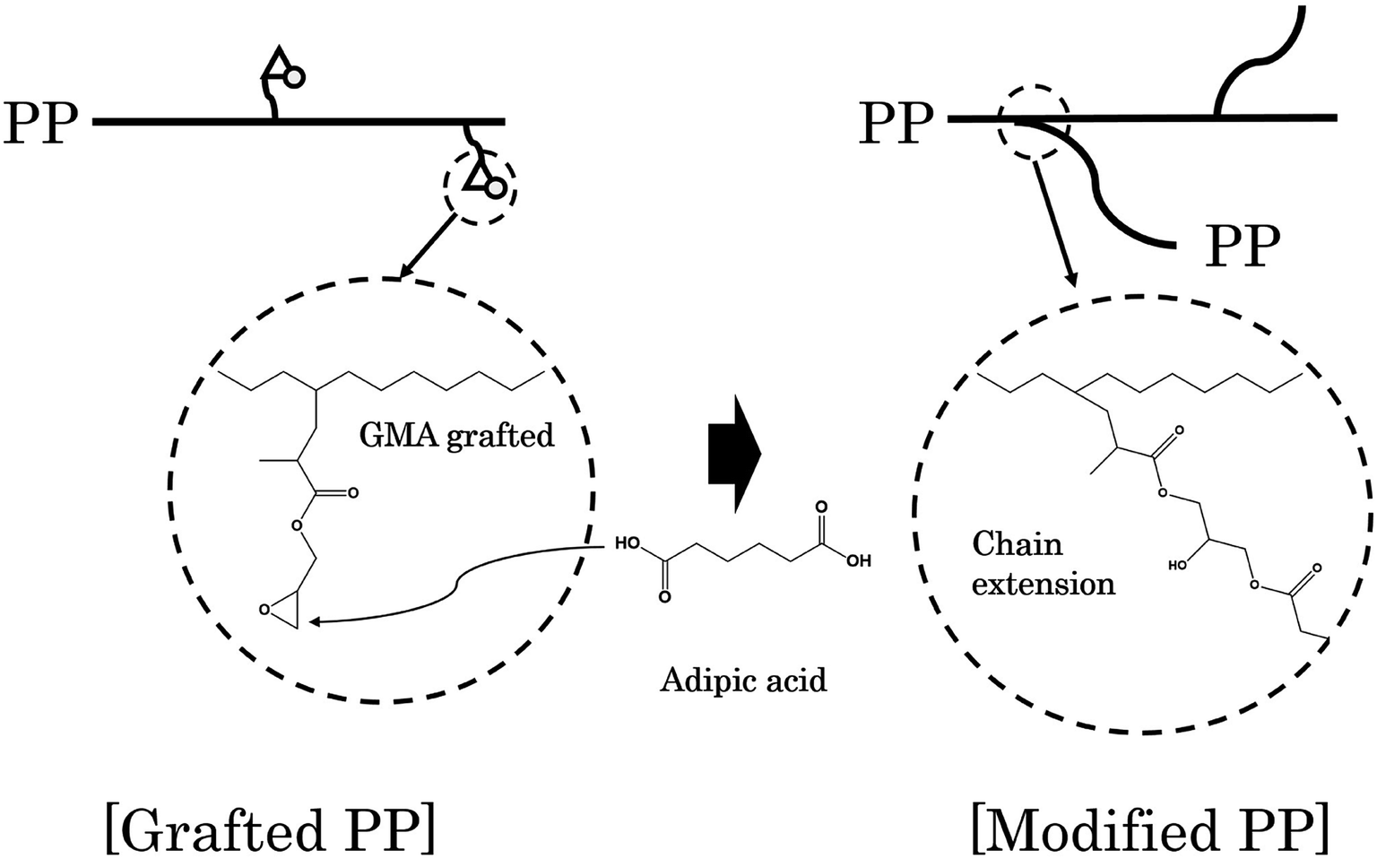 Effects of chain extender on properties and foaming behavior of