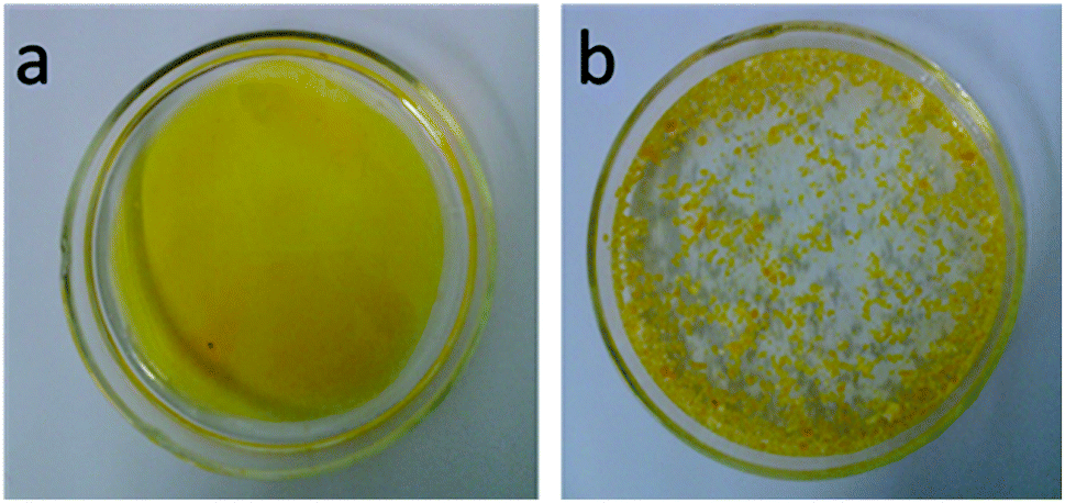 microbead emulsion pcr