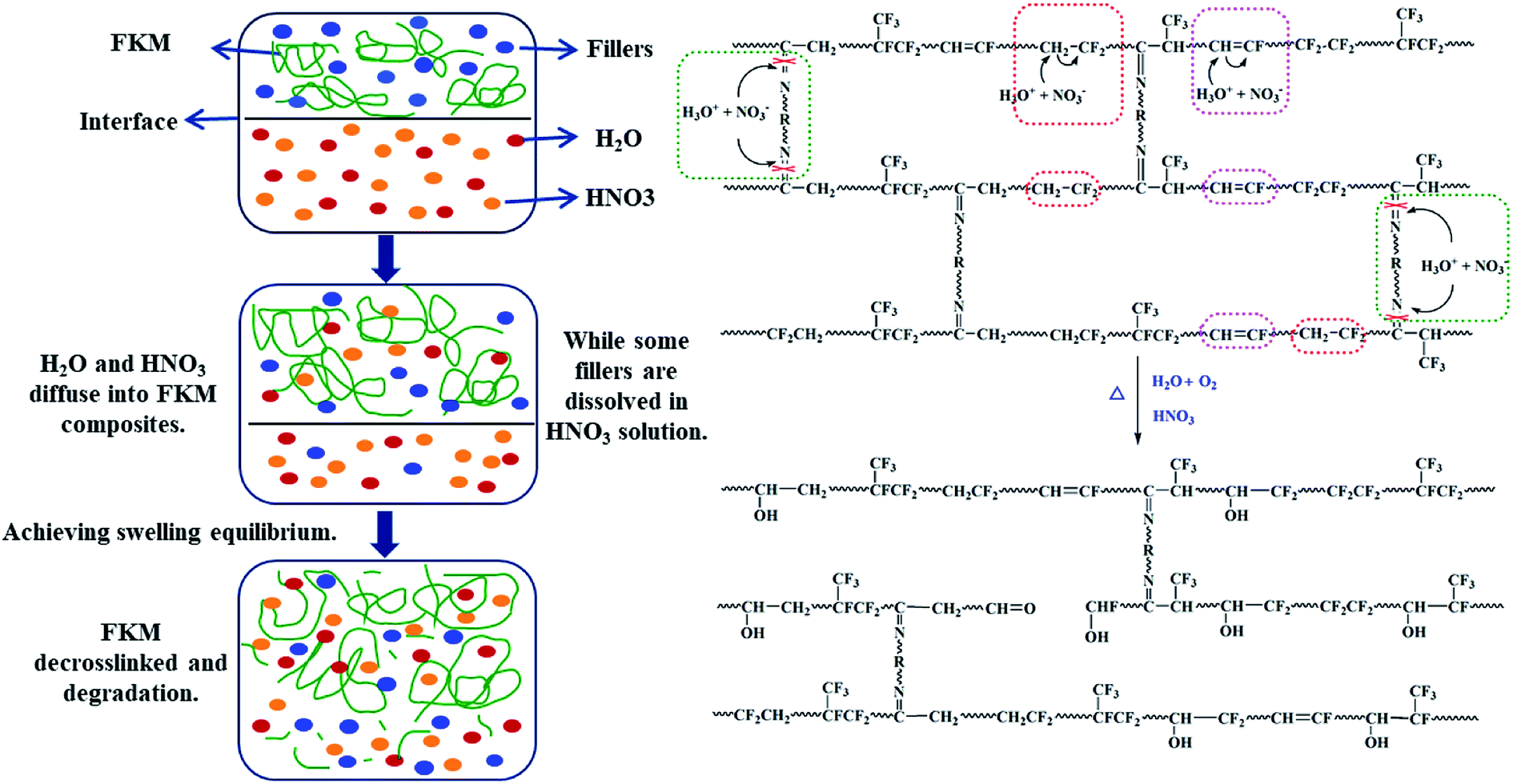 Hot Nitric Acid Diffusion In Fluoroelastomer Composite And Its ...