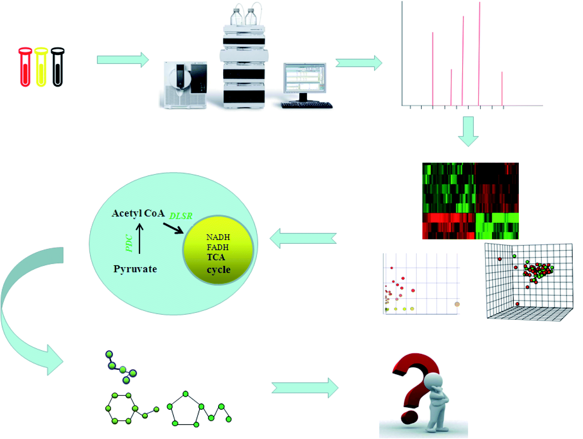 Metabolomics Biotechnology Applications And Future Trends A Systematic Review Rsc Advances Rsc Publishing