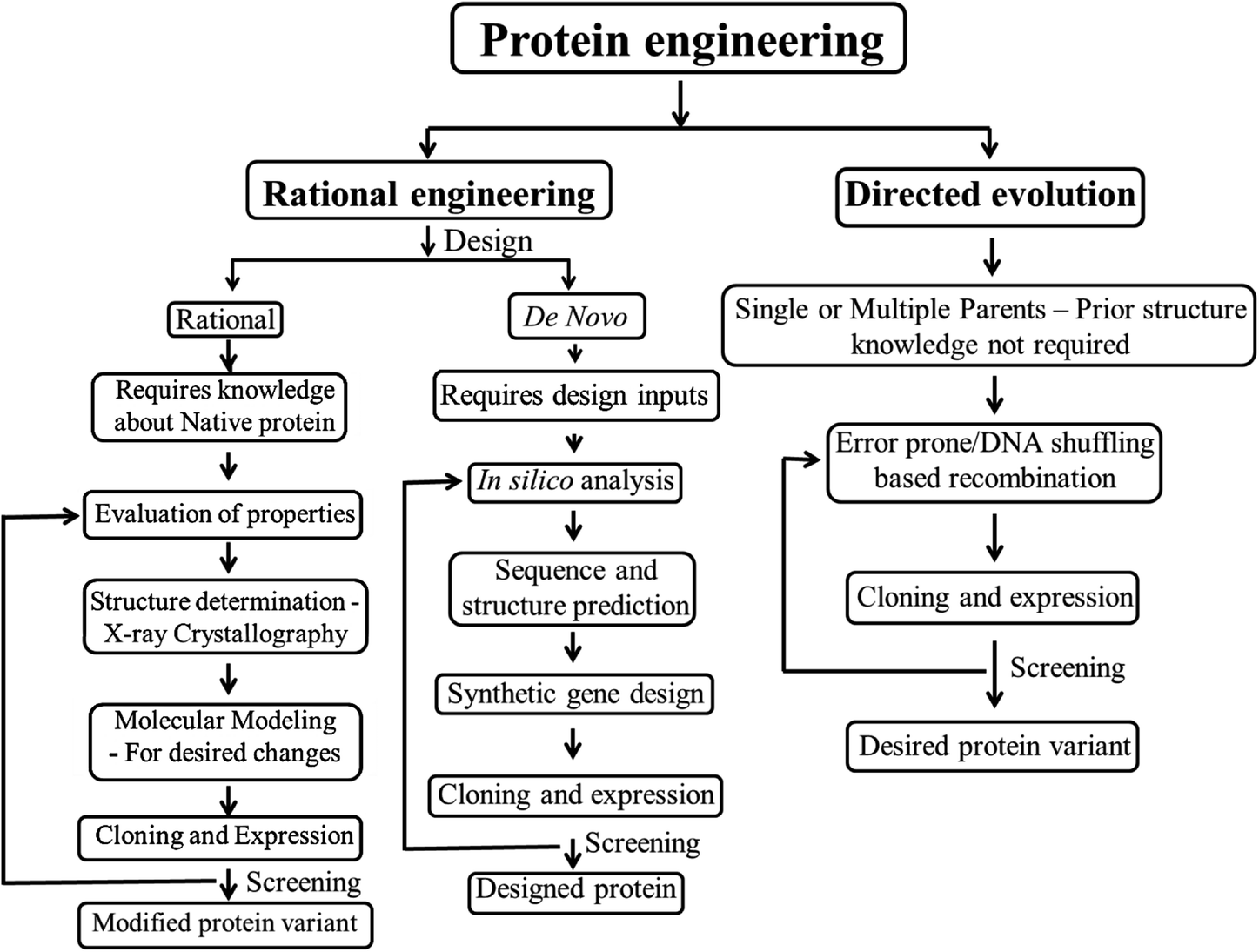 Evolutionary approaches in protein engineering towards biomaterial