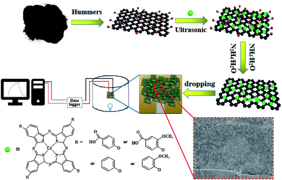 A High Sensitive Room Temperature Gas Sensor Based On Cobalt Phthalocyanines And Reduced Graphene Oxide Nanohybrids For The Ppb Levels Of Ammonia Detection Rsc Advances Rsc Publishing