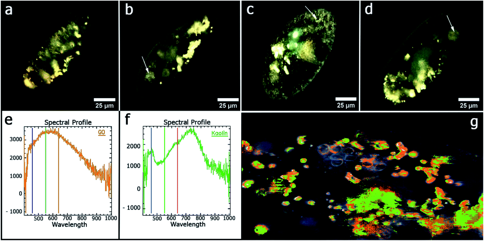 Organic-nanoclay composite materials as removal agents for ...