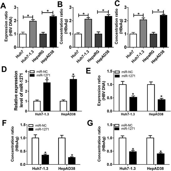 Retracted Article: MicroRNA-1271 modulates hepatitis B virus ...