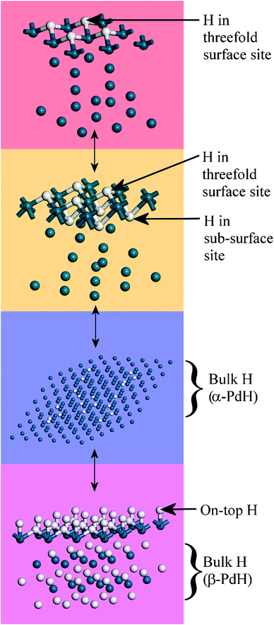 Sequence Palladium JapaneseClass.jp