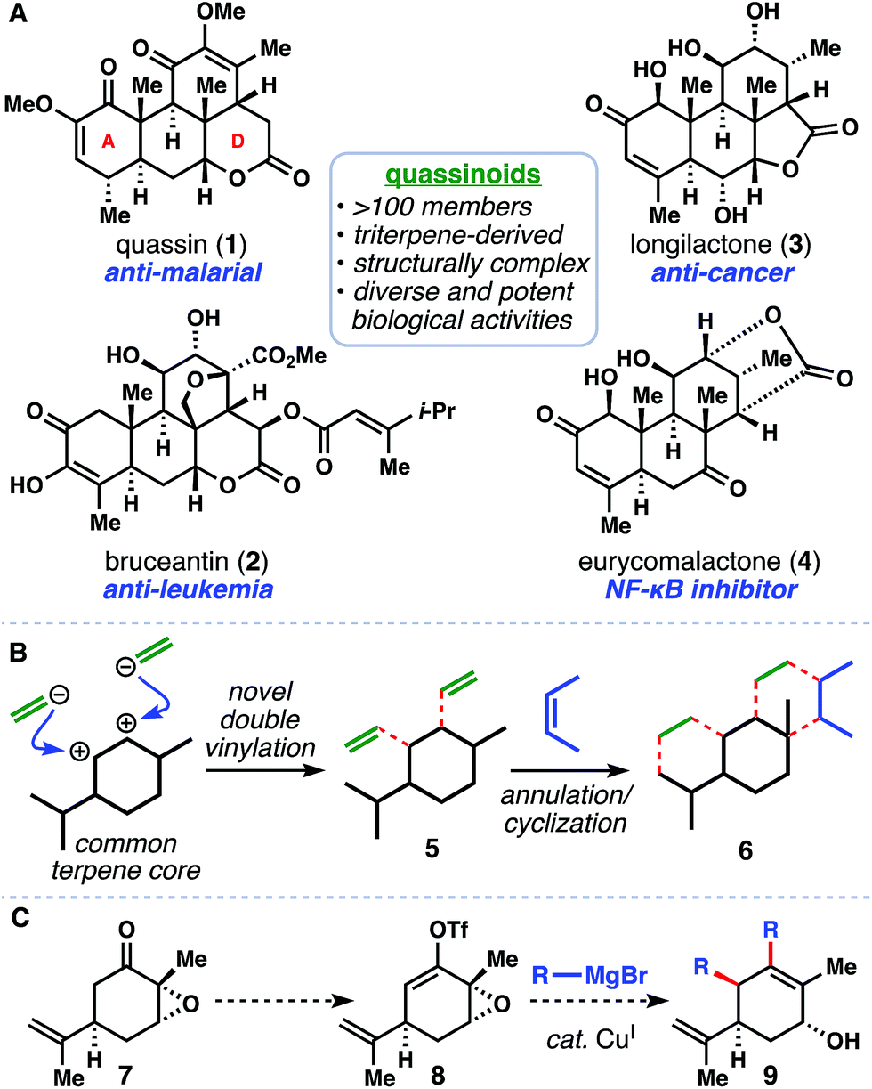 A Copper-catalyzed Double Coupling Enables A 3-step Synthesis Of The ...